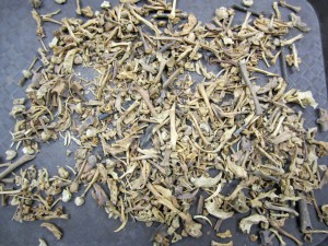 A tray holds bones of ancient small mammals, including rabbits, hares, woodrats, gophers, deer mice and kangaroo rats excavated from the Shelter of the Scorpions in Baja California, Mexico. A University of Utah analysis of 10,000 years of rabbit and hare bones from the site shows how populations of those animals boomed during wet periods when the climate pattern known as El Niño caused heavy rains and resulted in growth of plants to feed the animals.