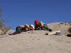 Co-author Adriana Mancuso (right) and Juan Martín Leardi (left) excavate the skeleton of the early mammal relative Massetognathus. This was also the site of one of the dated samples in the study.