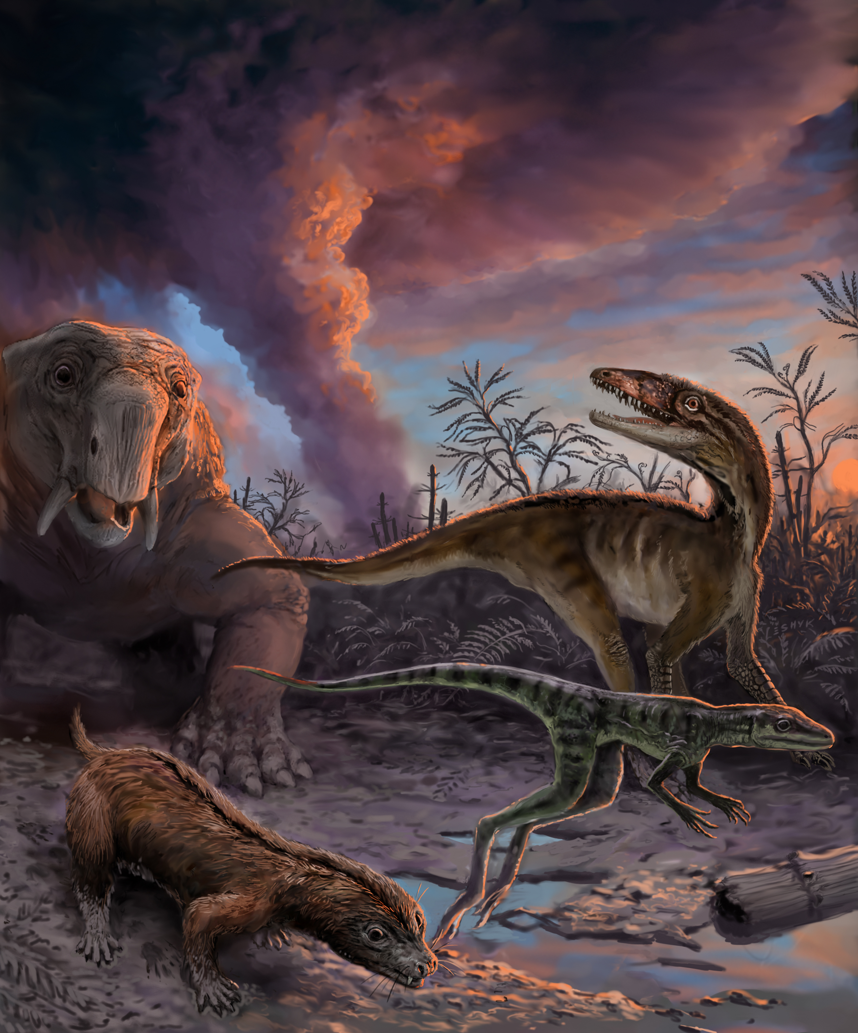 first dinosaur fossil found