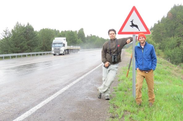 Cagan Şekercioğlu and Mark Chynoweth at a wildlife crossing sign along the Kars-Erzurum highway that bisects Sarıkamış Forest.