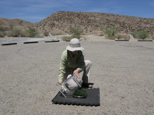 Elizaveta Litvak at the Steele/Burnand Anza-Borrego Desert Research Center in California, one of the hottest, driest areas of the US. The conditions simulated the arid Santa Ana winds.