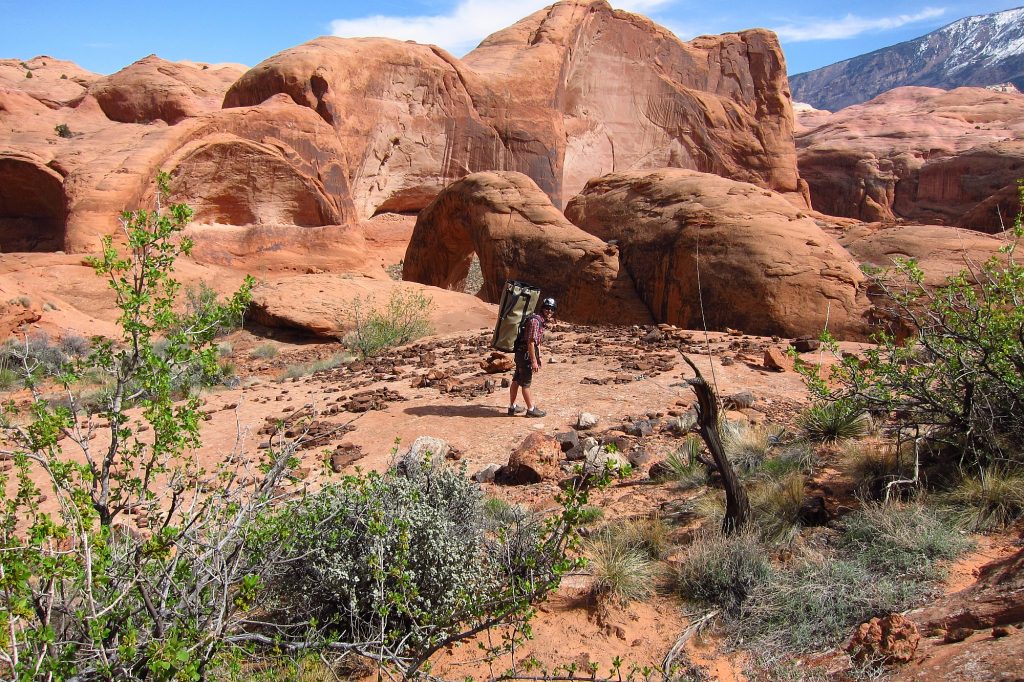 Undergraduate Ben White hauling gear to the monitoring site.