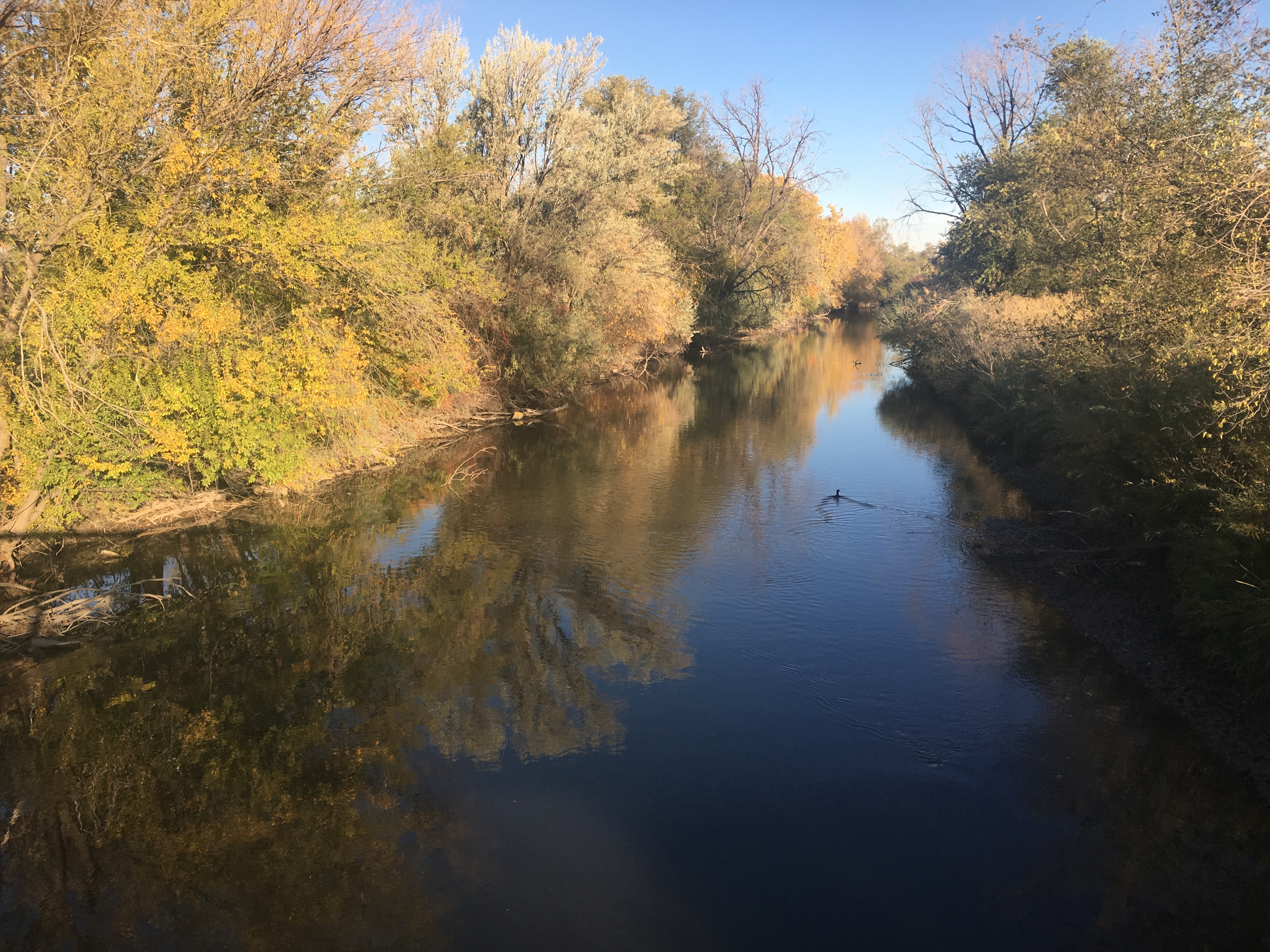 Where The Jordan River s Water Comes From UNews