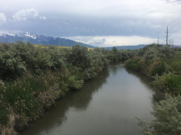 Where the Jordan River’s water comes from UNews